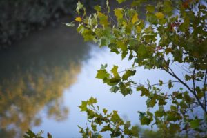 A Texas Fall