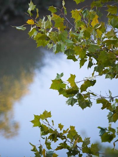 A Texas Fall