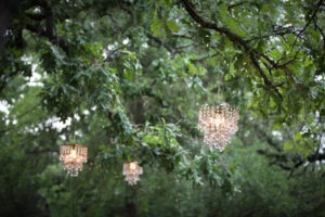 Twinkle Lights and Chandies