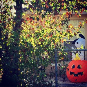 Snoopy