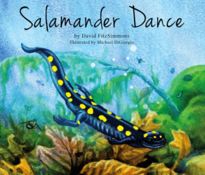 Salamander Dance