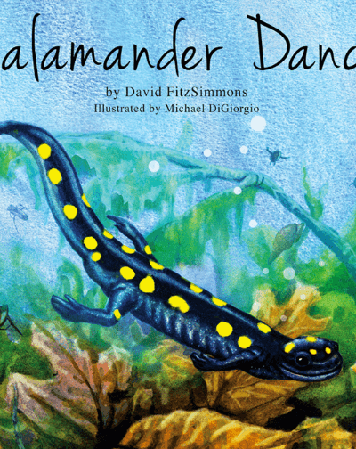 Salamander Dance