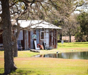 Shawn and Brittany Pecan Springs Ranch Austin Wedding by Sprittibee Photography