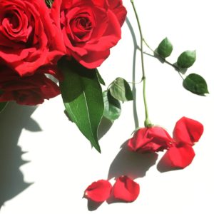 Hello February Instagram Challenge