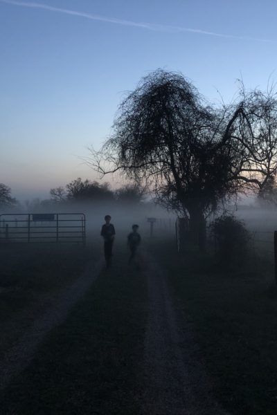 Foggy Morning by @sprittibee