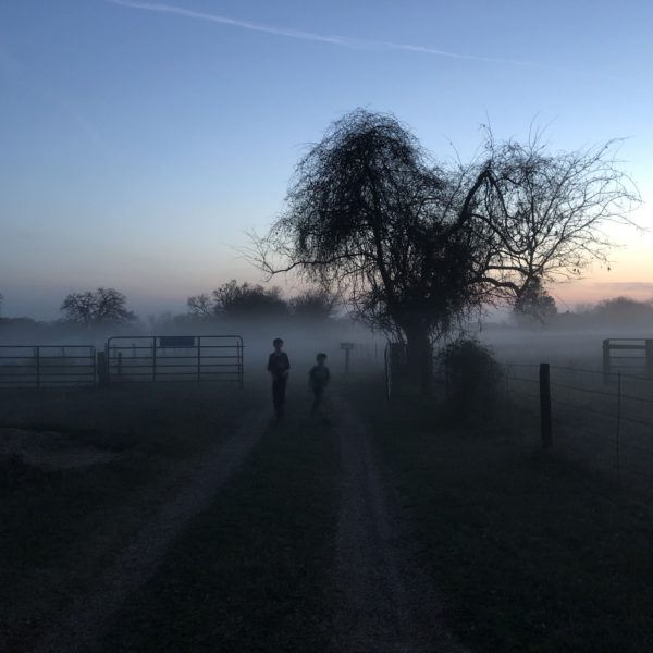 Foggy Morning by @sprittibee