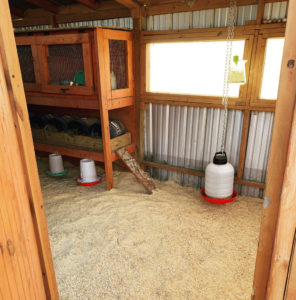 Quick Snap a Pic of the Clean Coop