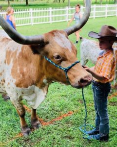 Showing Longhorns